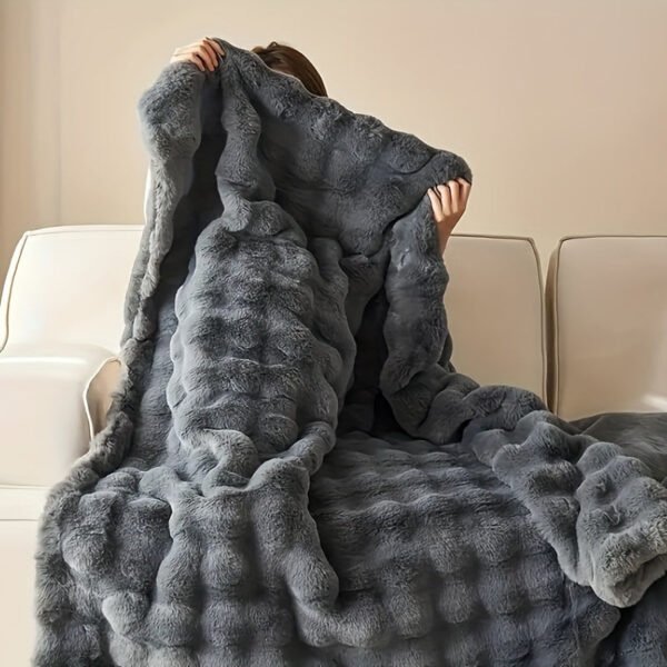 Traditional Style Plush Double Layer All Season Comforter Cozy Fleece Bedspread, Machine Washable Suitable For Ac Use, Travel, Naps & Christmas Gifts % Polyester Bed Cover