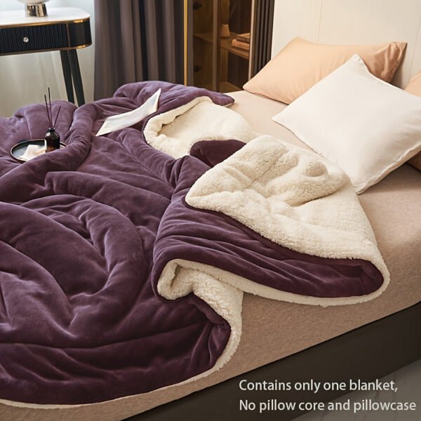 Dark Purple Double Layer Milk Velvet Lamb Velvet Blanket | Machine Washable, All Season Comfort, Polyester