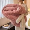 Luxurious Vintage Inspired Double Layer Thick Bed Blanket Soft, Plush Fleece With Taffeta Velvet & Imitative | All Season Comfort | Machine Washable | Milk Velvet Fabric